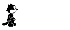 gatto, nero, pensare, riflettere, marciare, passeggiare, acinare, bianco, muso, baffi, sfiga, iella, jella