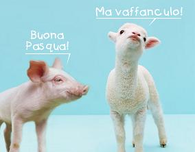 Maialino che dice ad un agnello buona Pasqua