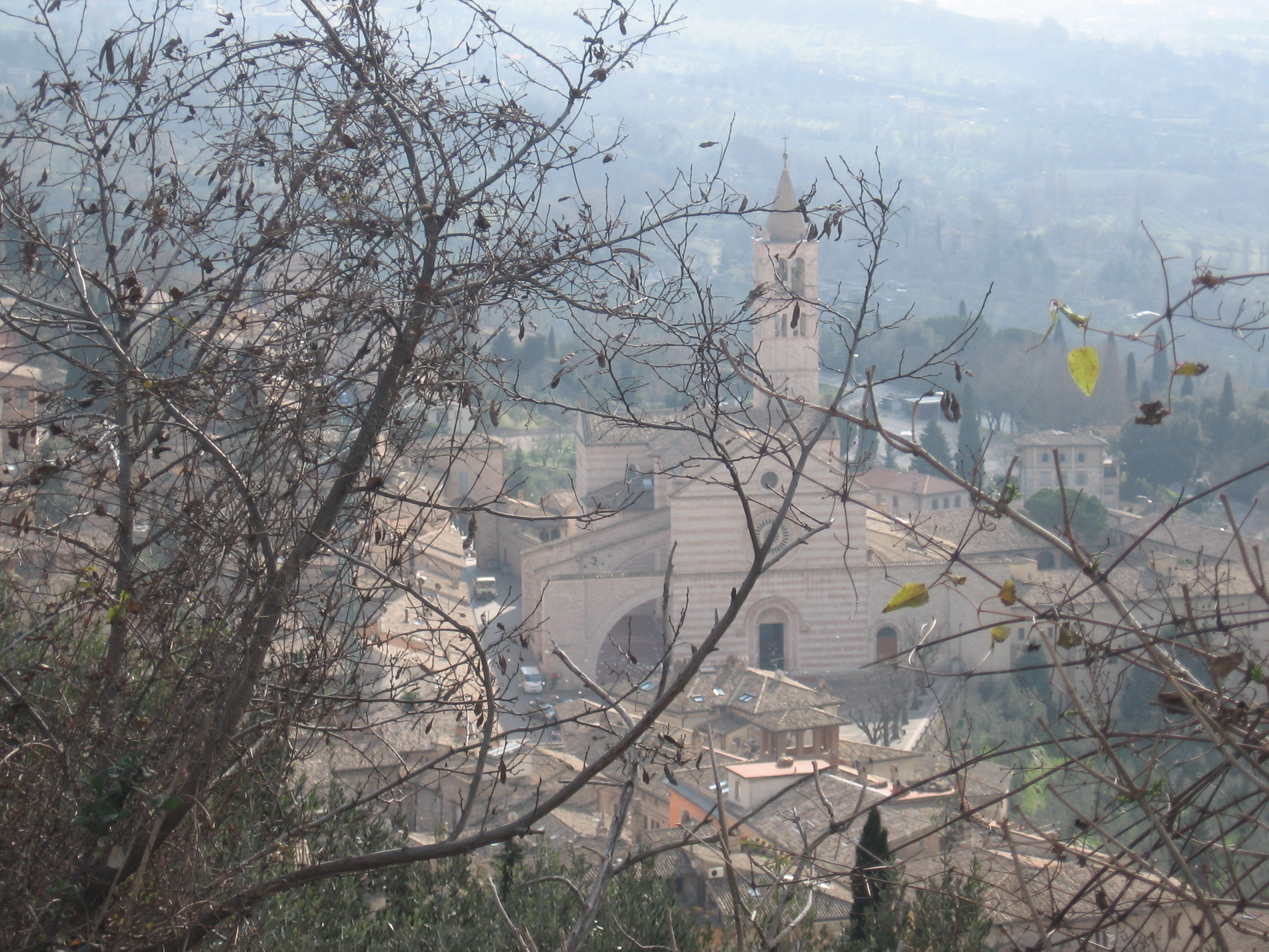 Assisi, Basilica, San Francesco, Santa Chiara, rilassante, frati minori, paesaggio, vista