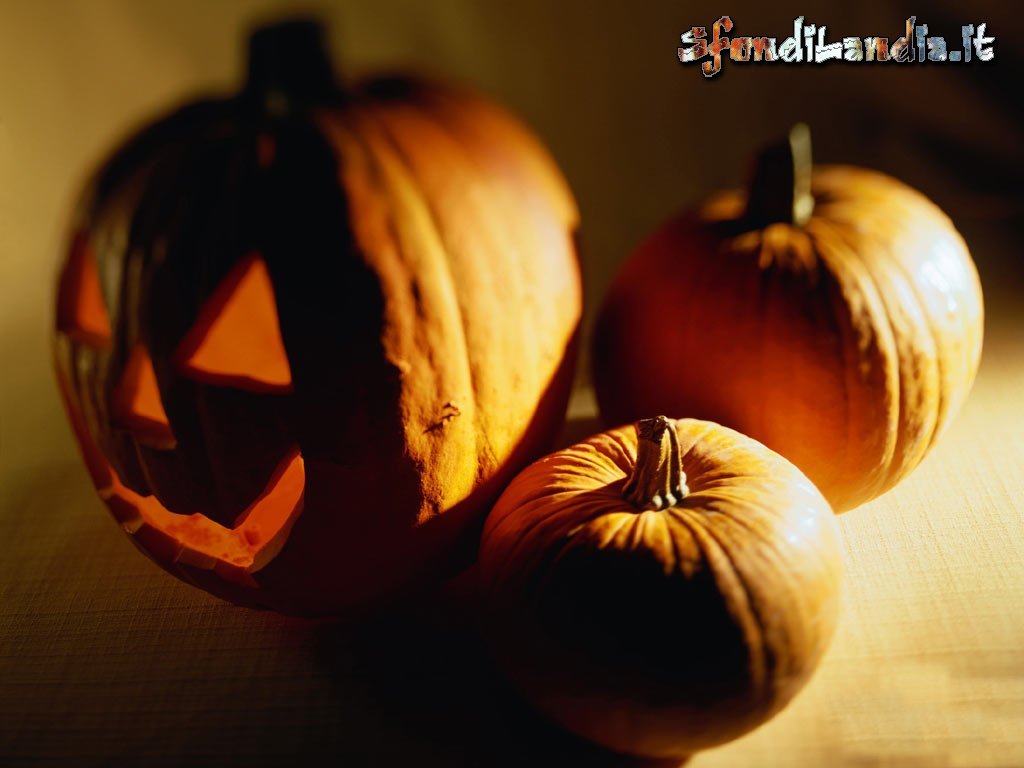 Halloween, streghe, scherzetti, dolcetti, maschere, orrore, morti viventi, zombie, brividi