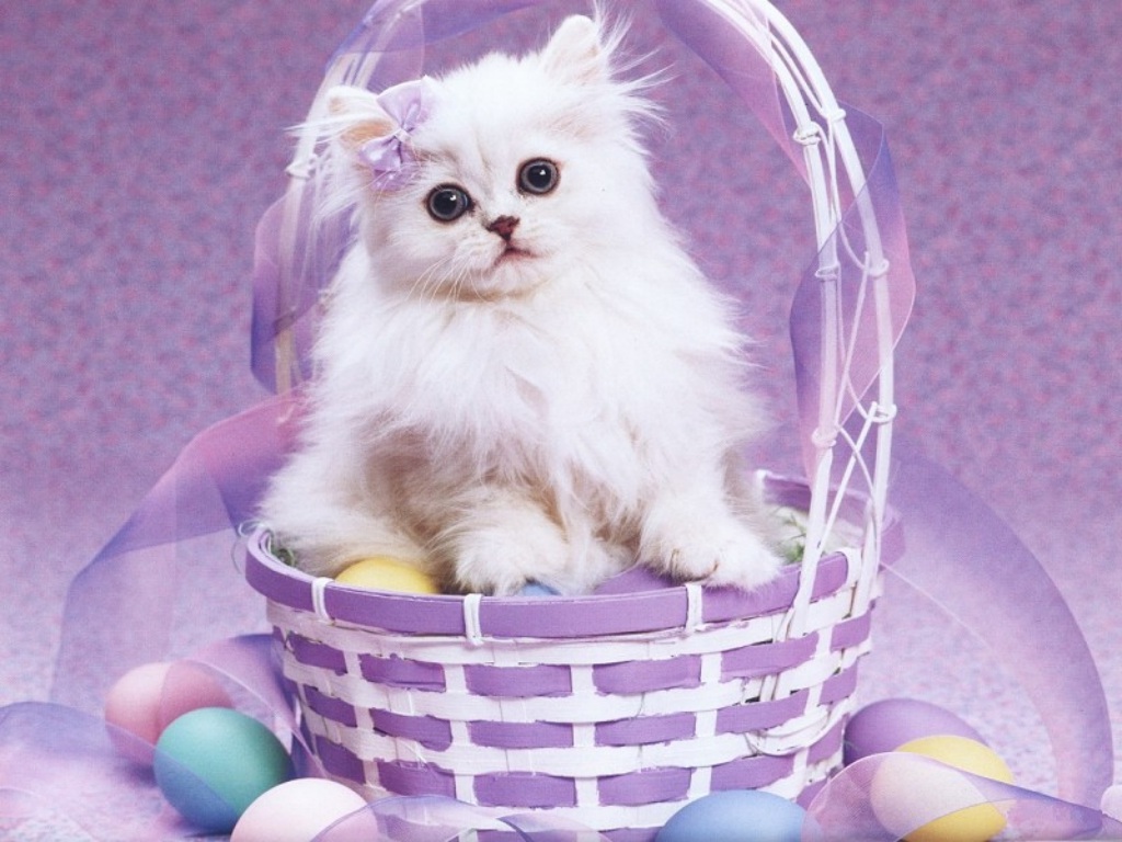 pasqua