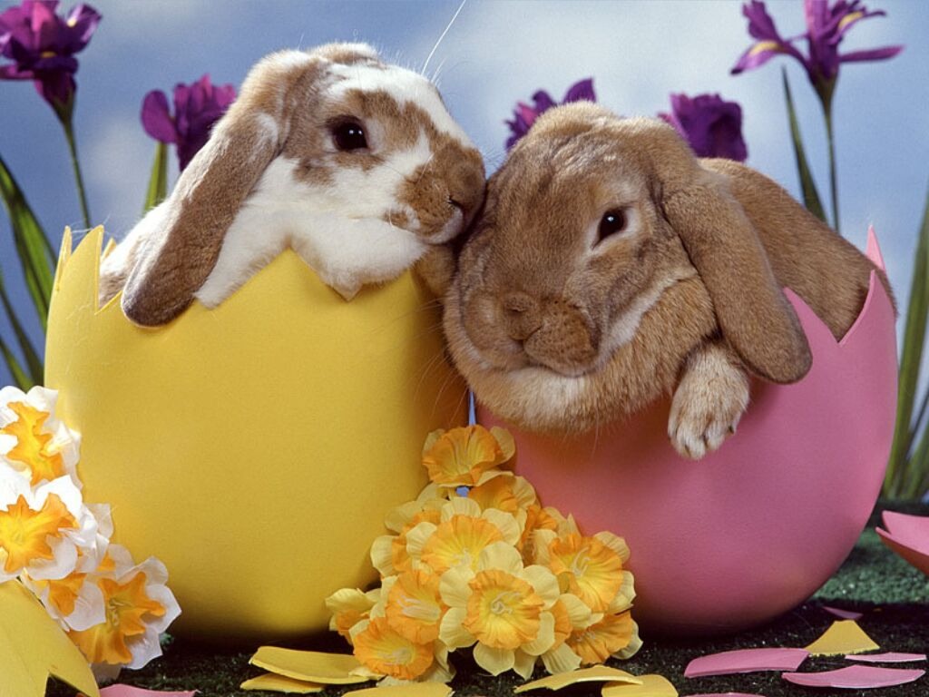 pasqua