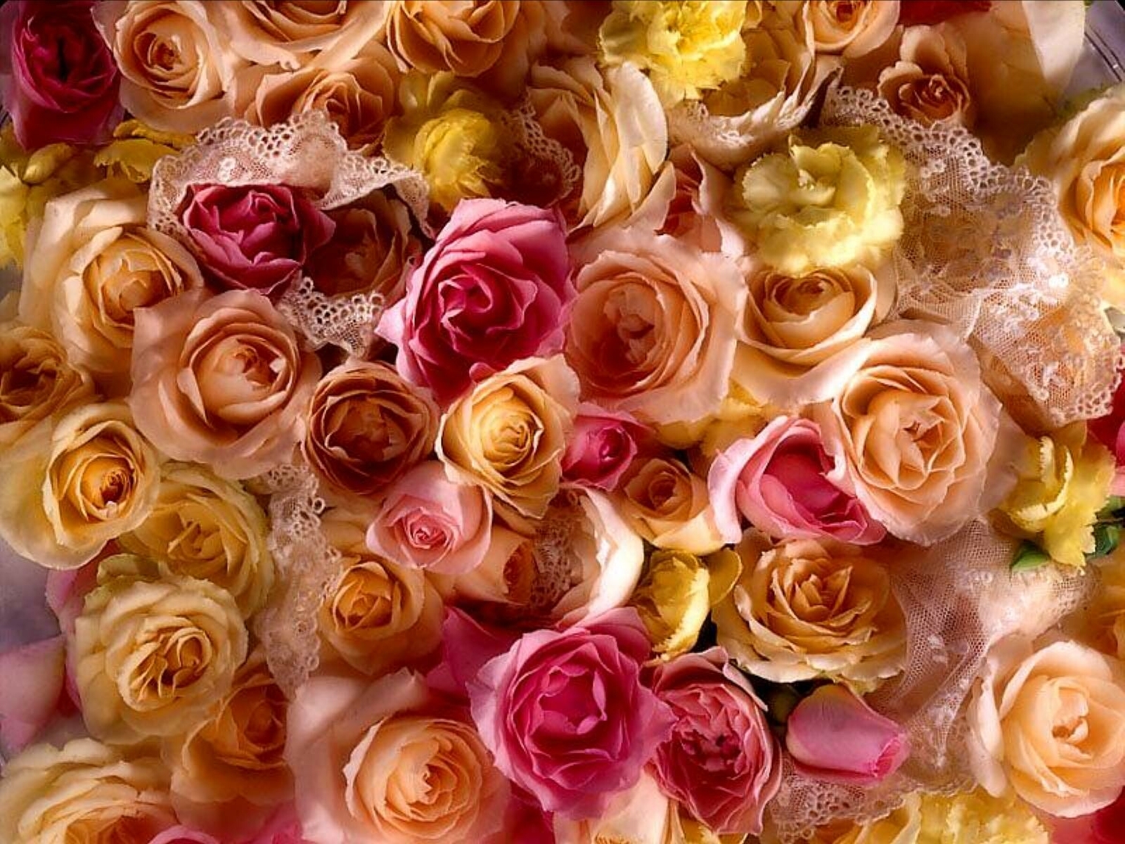 San Valentino, amore, affetto, baci, love, spumante, brindare, amarci, desiderio