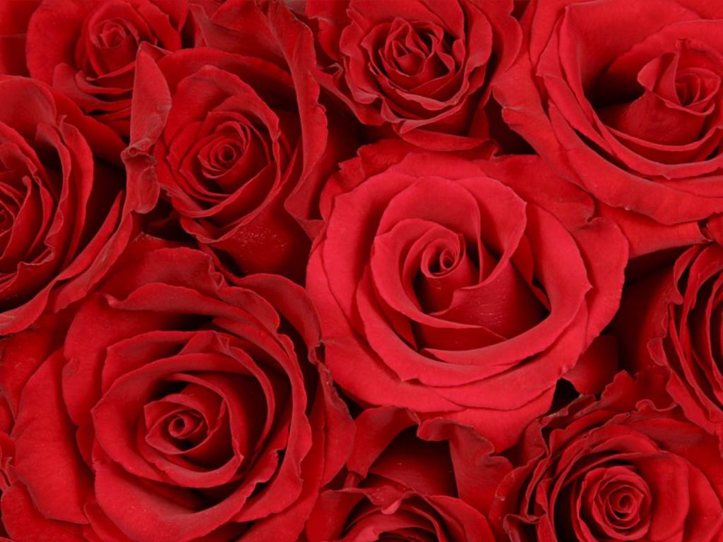 San Valentino, amore, affetto, baci, love, spumante, brindare, amarci, desiderio
