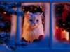 Buon Natale, 2006, Felice Natale, Regali, Babbo Natale, neve, freddo, 25 Dicembre, Presepe, Inverno, albero, palle, ghirlande, sfondi desktop, nataliz