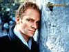 Sting