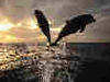 salto, delfini, tramonto