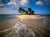 isola, palme,  mare, sole, incanto 