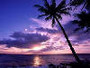 isola, palme,  mare, sole, incanto, tramonto, paradiso 