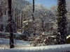 sfondi paesaggi innevati, immagine boschi neve, alberi nevicata, coperto di bianco, foto montagna innevata