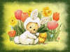 pasqua13.jpg